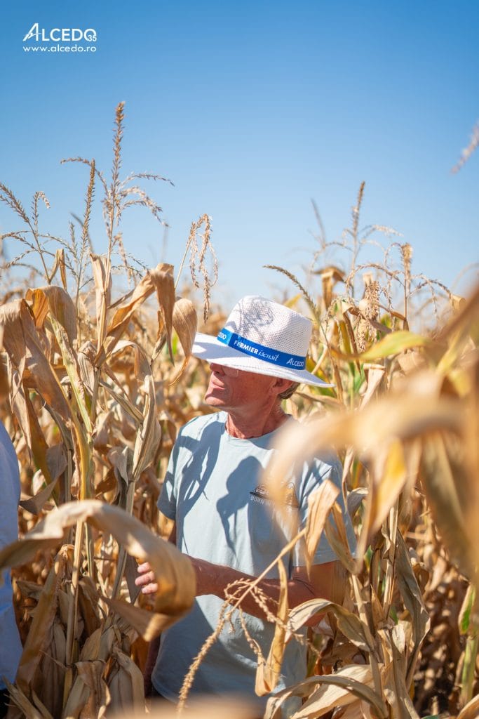 ALCEDO a organizat Ziua Porumbului 2025 la Curtuișeni – platformă de inovație și schimb de experiență pentru fermieri