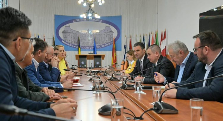 Carne de porc românească, între promisiuni și criză, statul anunță intervenții în piață și la raft
