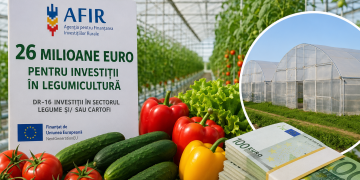Primele proiecte pentru sere și depozite de legume primesc finanțare prin DR-16
