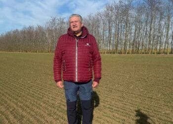 Gheorghe Albu plantează arbori pe o suprafață de 58 hectare!