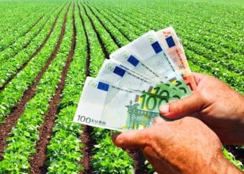 PIA finalizează controalele Campaniei 2025: plățile în avans pentru fermieri vor începe pe 16 octombrie