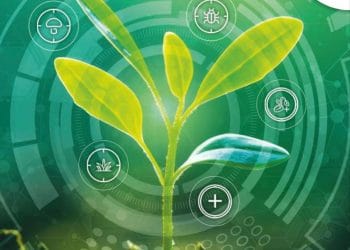 Catalogul Alcedo 2025