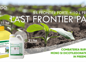 Erbicidează cu LAST FRONTIER în preemergență la floarea-soarelui și evită pierderi de producție de până la 30%
