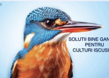 ALCEDO, 35 DE ANI ÎN SLUJBA FERMERILOR