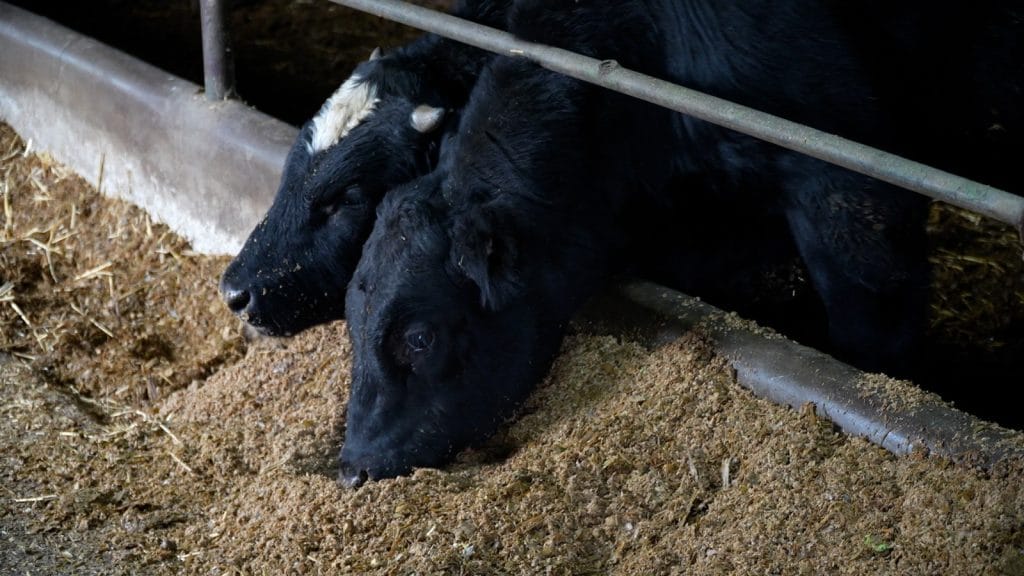 18 ferme din România devin modele naționale pentru protecția apelor și a solului