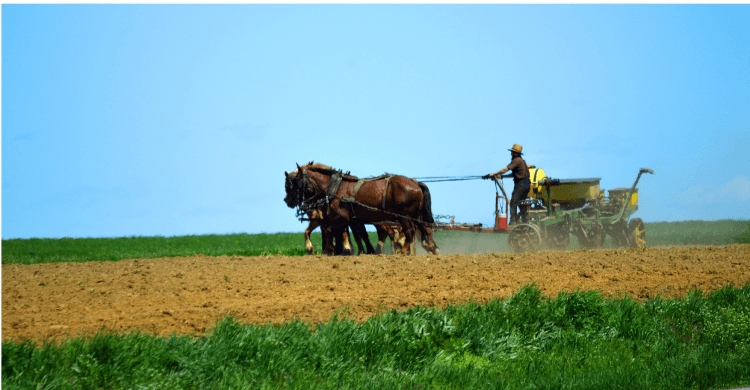 Productivitatea pe cap de angajat în agricultură: România la coada clasamentului