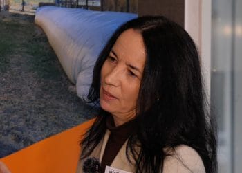 Nina Gheorghiță, vicepreședinte LAPAR