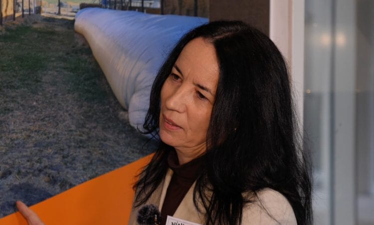 Nina Gheorghiță, vicepreședinte LAPAR