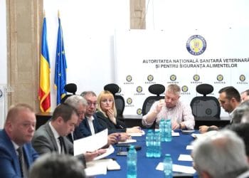 Alertă sanitar-veterinară: ANSVSA ia măsuri împotriva febrei aftoase din Ungaria