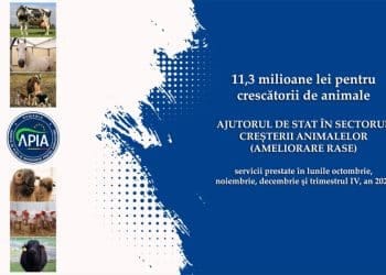 APIA plătește peste 11,3 milioane lei crescătorilor de animale