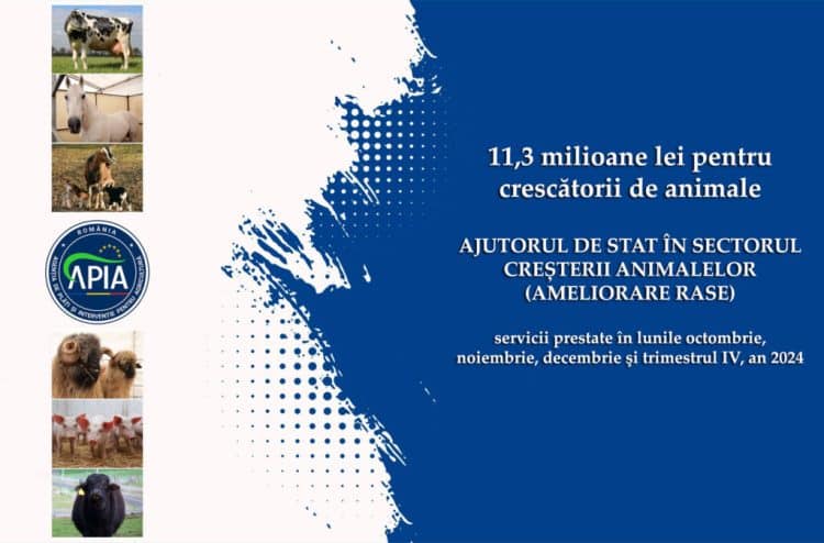 APIA plătește peste 11,3 milioane lei crescătorilor de animale