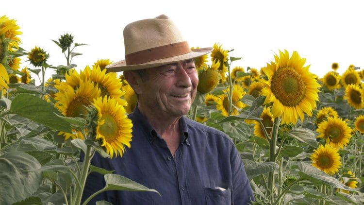 Dr. ing. Dumitru Manole, membru de onoare al A.S.A.S