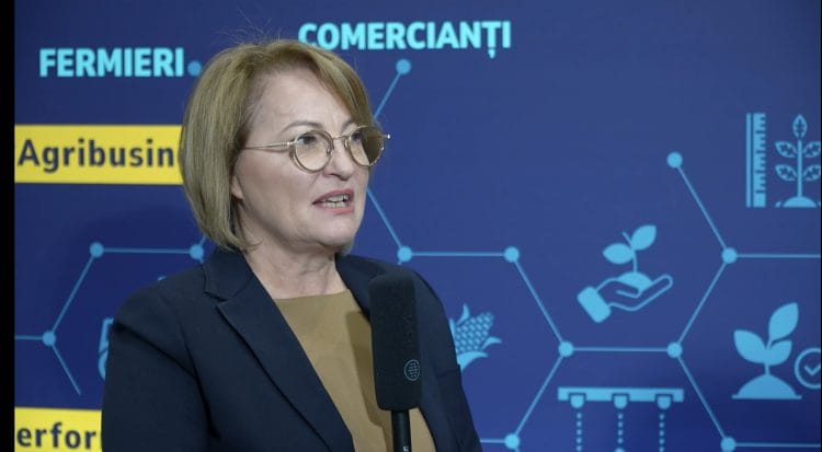 Agricultura în 2025: Prețurile rămân stabile, iar hibrizii de porumb sunt pregătiți pentru secetă, nu și pentru arșiță.