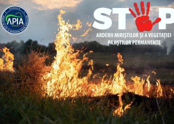 Arderea miriștilor și vegetației uscate este interzisă!