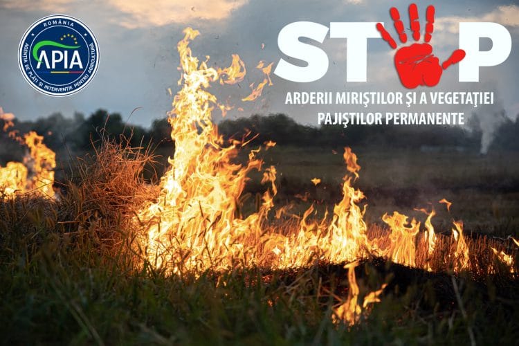 Arderea miriștilor și vegetației uscate este interzisă!