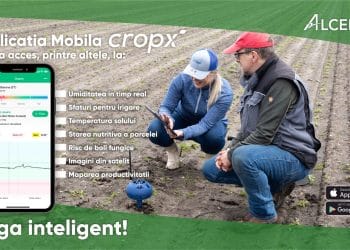 Monitorizarea umidității solului – cheia unei agriculturi eficiente