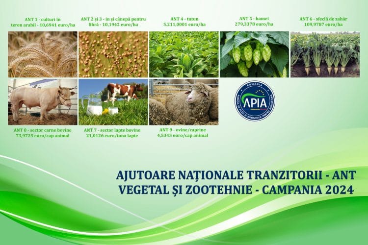 APIA a început autorizarea la plată a Ajutoarelor Naționale Tranzitorii pentru anul 2024