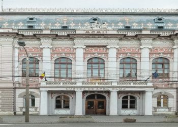 Justiția oprește temporar pesticidele controversate-victorie pentru apicultori și fermierii ecologici