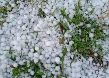 Fermierii din Dolj susțin Sistemul Antigrindină pentru protejarea culturilor: Este sau nu dăunător?