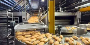 Ghidul solicitantului pentru intervenția DR-23 a fost publicat AFIR anunță finanțări de până la 10 milioane de euro pentru procesarea produselor agricole