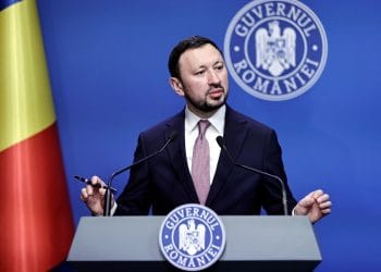 Vești bune pentru proprietarii de terenuri: statul plătește 640 euro/an pentru fiecare hectar de pădure