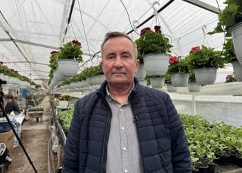 Călin Ion, pre edintele Asocia iei Producătorilor de Flori Muntenia