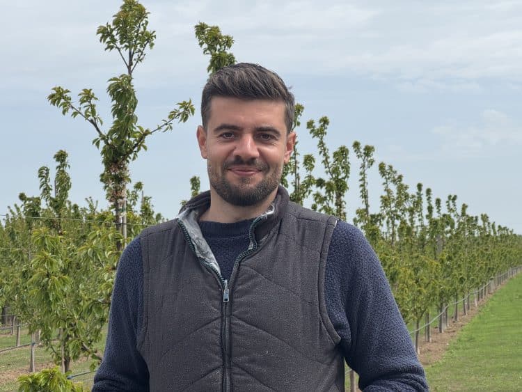 Adrian Petrea-Livada de Cireși Amari