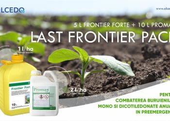 Solutii de erbicidare in preemergenta la culturile de floarea-soarelui