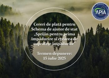 Fermierii pot depune cererile de plată pentru împăduriri până la 15 iulie 2025