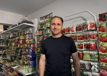 De la Fierbinți la supermarketuri: povestea lui Marian Spiridon, legumicultor cu 20 de ani de experiență