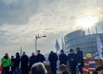 Fermierii României ies în stradă: „Fără buget, nu mai avem Politică Agricolă Comună, fermieri și nici securitate”