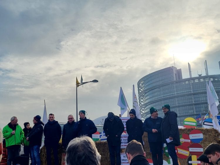 Fermierii României ies în stradă: „Fără buget, nu mai avem Politică Agricolă Comună, fermieri și nici securitate”