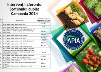 APIA a demarat plata sprijinului cuplat pentru Campania 2024. Vezi cuantumurile pe fiecare cultură și specie
