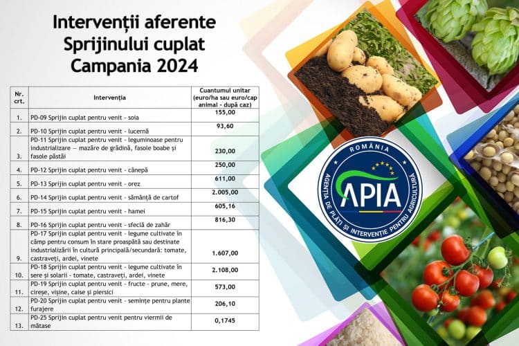 APIA a demarat plata sprijinului cuplat pentru Campania 2024. Vezi cuantumurile pe fiecare cultură și specie