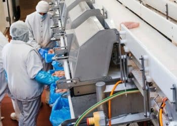 INVESTALIM accelerează: Peste 3,6 miliarde de lei în investiții pentru industria alimentară din România