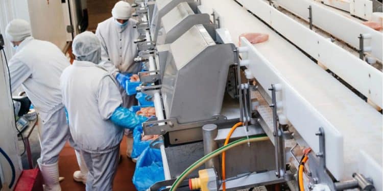 INVESTALIM accelerează: Peste 3,6 miliarde de lei în investiții pentru industria alimentară din România