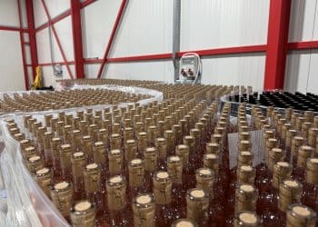 Vinul românesc, pus la colț: ONIV avertizează asupra unei taxe care ar putea distruge industria