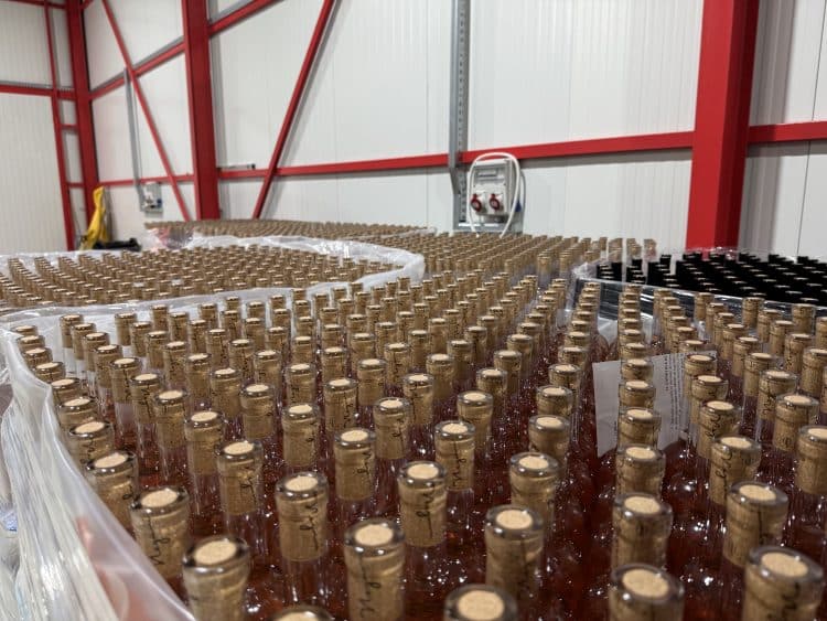 Vinul românesc, pus la colț: ONIV avertizează asupra unei taxe care ar putea distruge industria