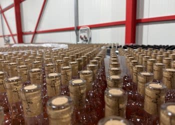 Vinul românesc, pus la colț: ONIV avertizează asupra unei taxe care ar putea distruge industria