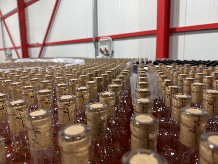 Vinul românesc, pus la colț: ONIV avertizează asupra unei taxe care ar putea distruge industria