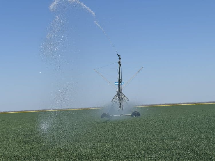 Covasna investește în viitorul agriculturii: 200 de fermieri primesc sprijin pentru irigații moderne