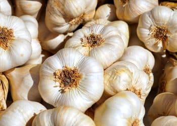 Usturoiul românesc rămâne fără sprijin în 2025. Ce s-a întâmplat cu programul promis fermierilor și când ar putea reveni