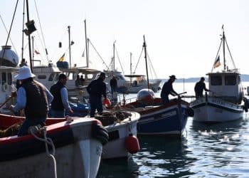 Fonduri de 54 milioane euro pentru revitalizarea comunităților pescărești: MADR sprijină dezvoltarea locală durabilă