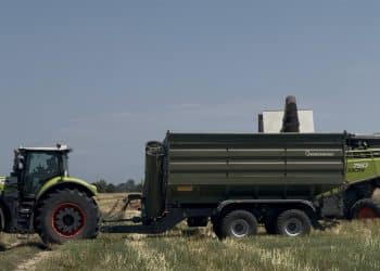 Deputatul PSD Cosmin Andrei cere explicații ministrului Agriculturii privind scăderea exporturilor de cereale