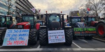 protest fermieri Strasbourg, Copa-Cogeca protest, Acord UE-MERCOSUR, fermieri români protest, PRO AGRO AAC, Alianța pentru Agricultură și Cooperare, agricultură românească, protest fermieri europeni, acord comercial UE