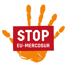 Acordul UE–Mercosur, contestat de agricultorii germani: risc pentru ferme și consumatori