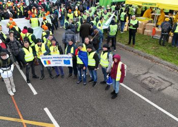 Agricultura europeană sub presiune: fermierii români protestează astăzi la Strasbourg împotriva acordului UE–MERCOSUR