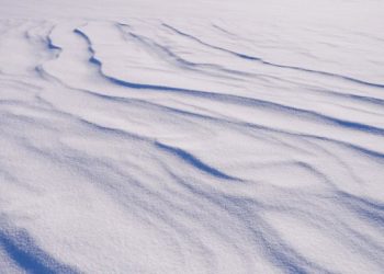 Întâlnirea ministrului Florin Barbu cu crescătorii de porci, reprogramată din cauza vremii. Noua dată, 25 februarie la MADR