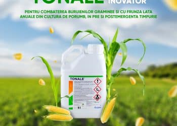 TONALE – flexibilitatea care ține buruienile sub control și protejează potențialul porumbului