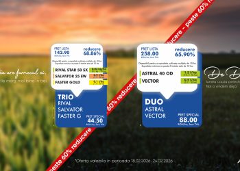 De Dragobete, perechile care funcționează în câmp, soluțiile complete ALCEDO pentru porumb și grâu